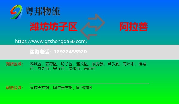 坊子区到阿拉善盟物流