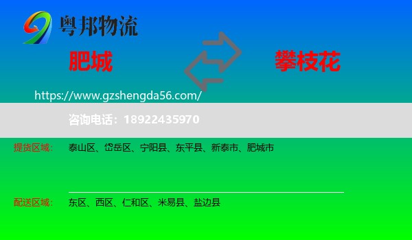 肥城市到攀枝花物流专线