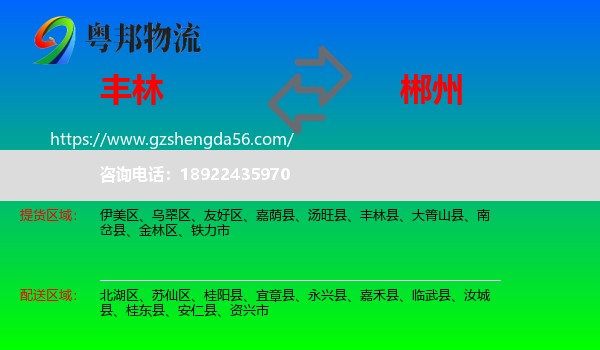 丰林县到郴州物流
