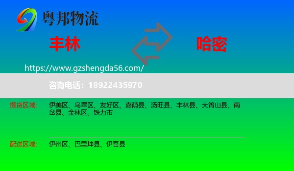 丰林县到哈密物流