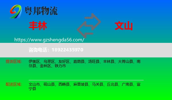 丰林县到文山物流