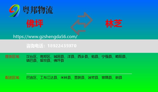 佛坪县到林芝物流