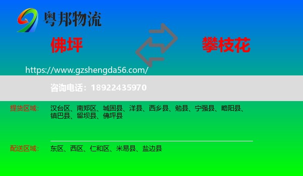 佛坪县到攀枝花物流