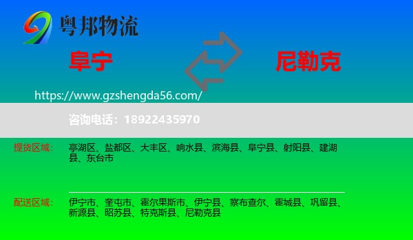 阜宁县到尼勒克县物流专线