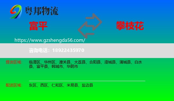 富平县到攀枝花物流