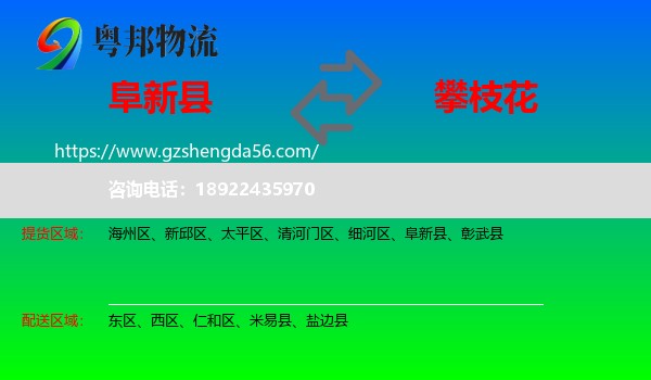 阜新县到攀枝花物流