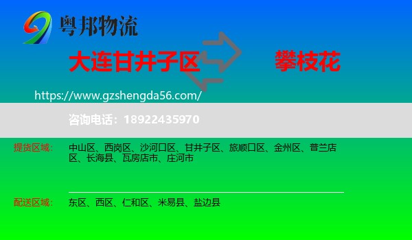 甘井子区到攀枝花物流专线