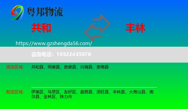 共和县到丰林县物流专线