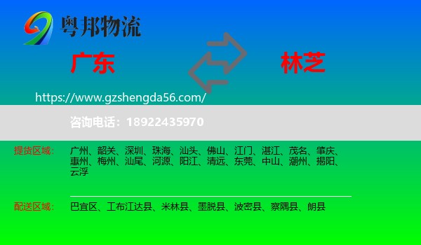 广东到林芝物流