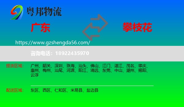 广东到攀枝花物流
