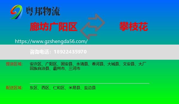 广阳区到攀枝花物流专线