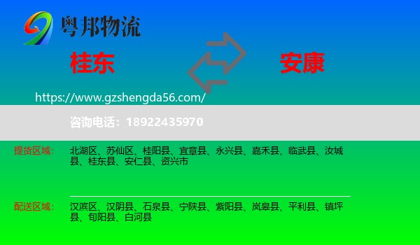 桂东县到安康物流
