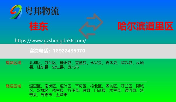 桂东县到道里区物流专线