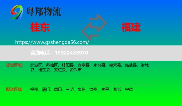桂东县到福建物流