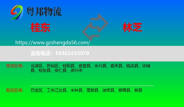 桂东县到林芝物流