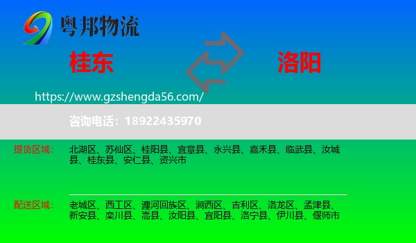 桂东县到洛阳物流