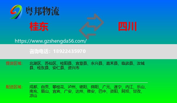 桂东县到四川物流