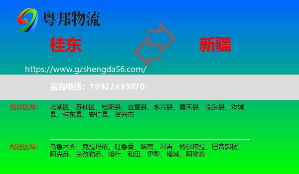 桂东县到新疆物流