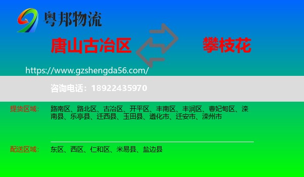 古冶区到攀枝花物流