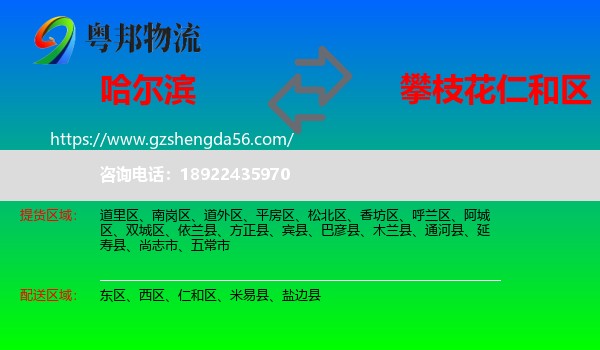 哈尔滨到仁和区物流专线