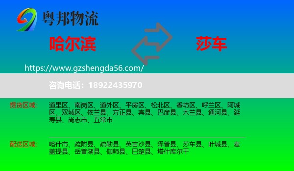 哈尔滨到莎车县物流专线