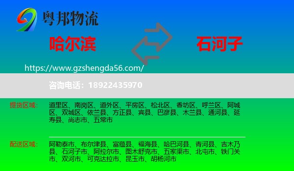 哈尔滨到石河子市物流专线