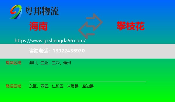 海南到攀枝花物流专线