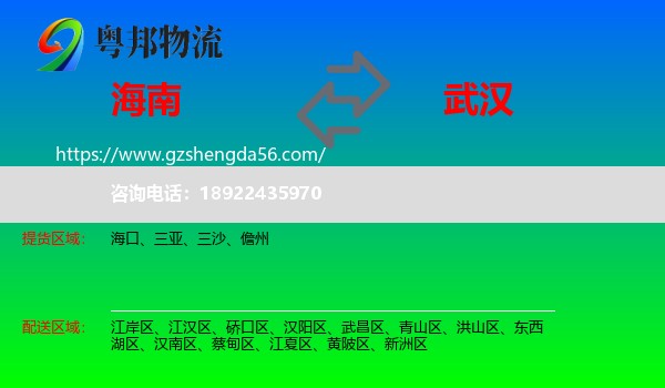 海南到武汉专线