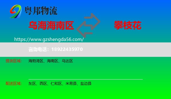 海南区到攀枝花物流