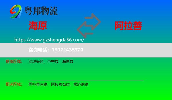 海原县到阿拉善盟物流