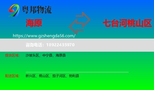 海原县到桃山区物流专线