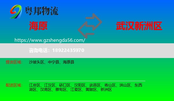 海原县到新洲区物流专线