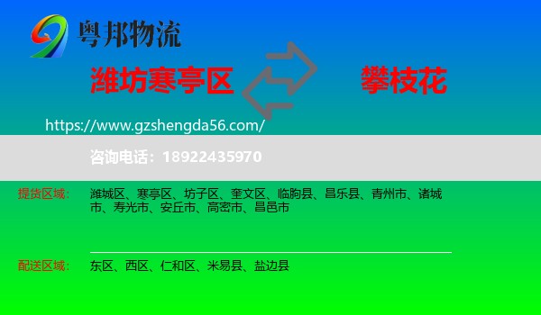 寒亭区到攀枝花物流专线