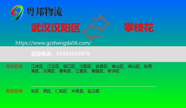 汉阳区到攀枝花物流专线