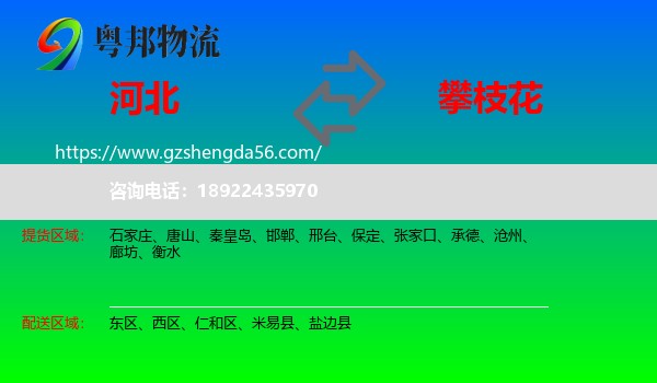 河北到攀枝花物流专线