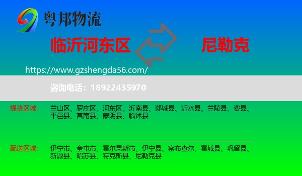 河东区到尼勒克县物流专线