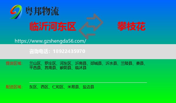 河东区到攀枝花物流专线