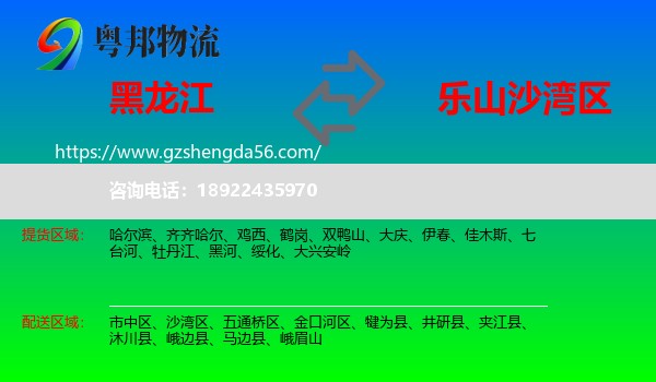 黑龙江到沙湾区物流专线