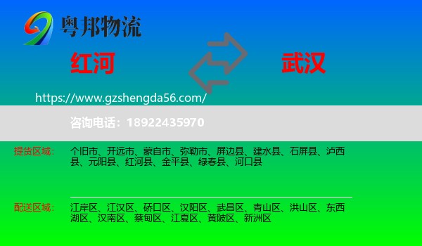 红河到武汉专线