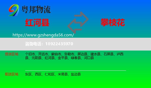 红河县到攀枝花物流