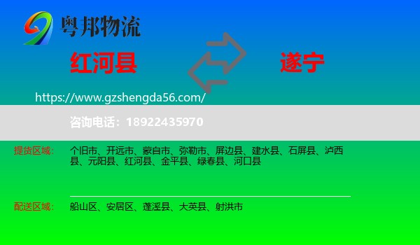 红河县到遂宁物流
