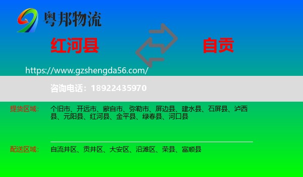 红河县到自贡物流