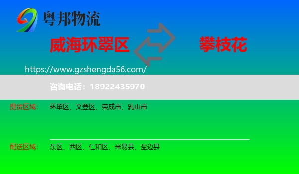 环翠区到攀枝花物流