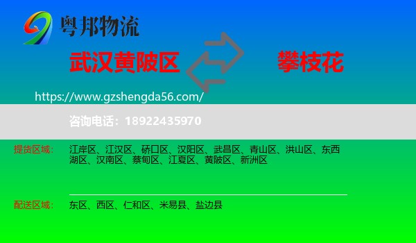 黄陂区到攀枝花物流