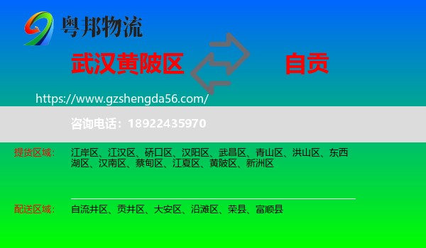 黄陂区到自贡物流