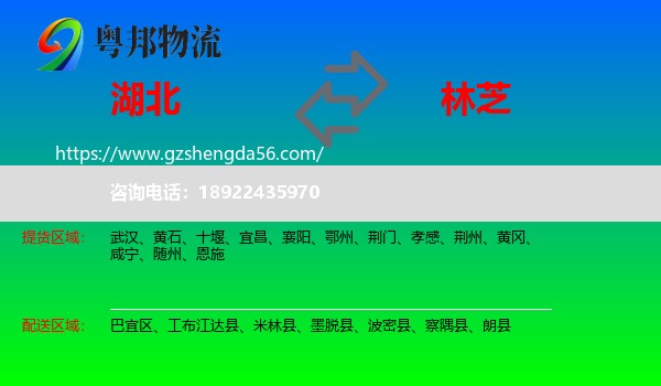 湖北到林芝物流