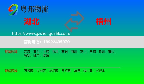湖北到梧州物流