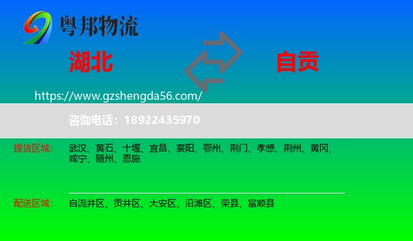 湖北到自贡物流