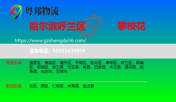 呼兰区到攀枝花物流专线