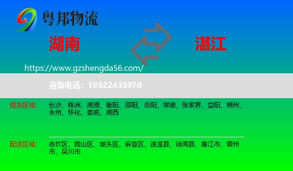 湖南到湛江物流专线